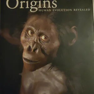 Origins