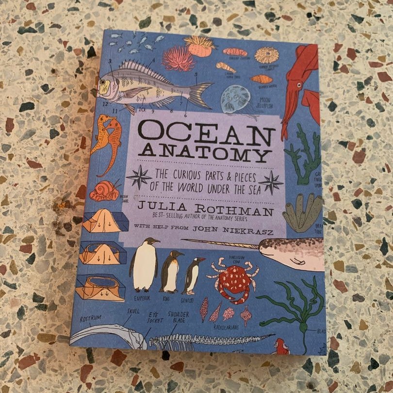Ocean Anatomy