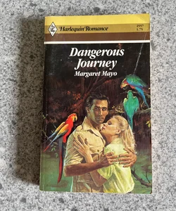 Dangerous Journey