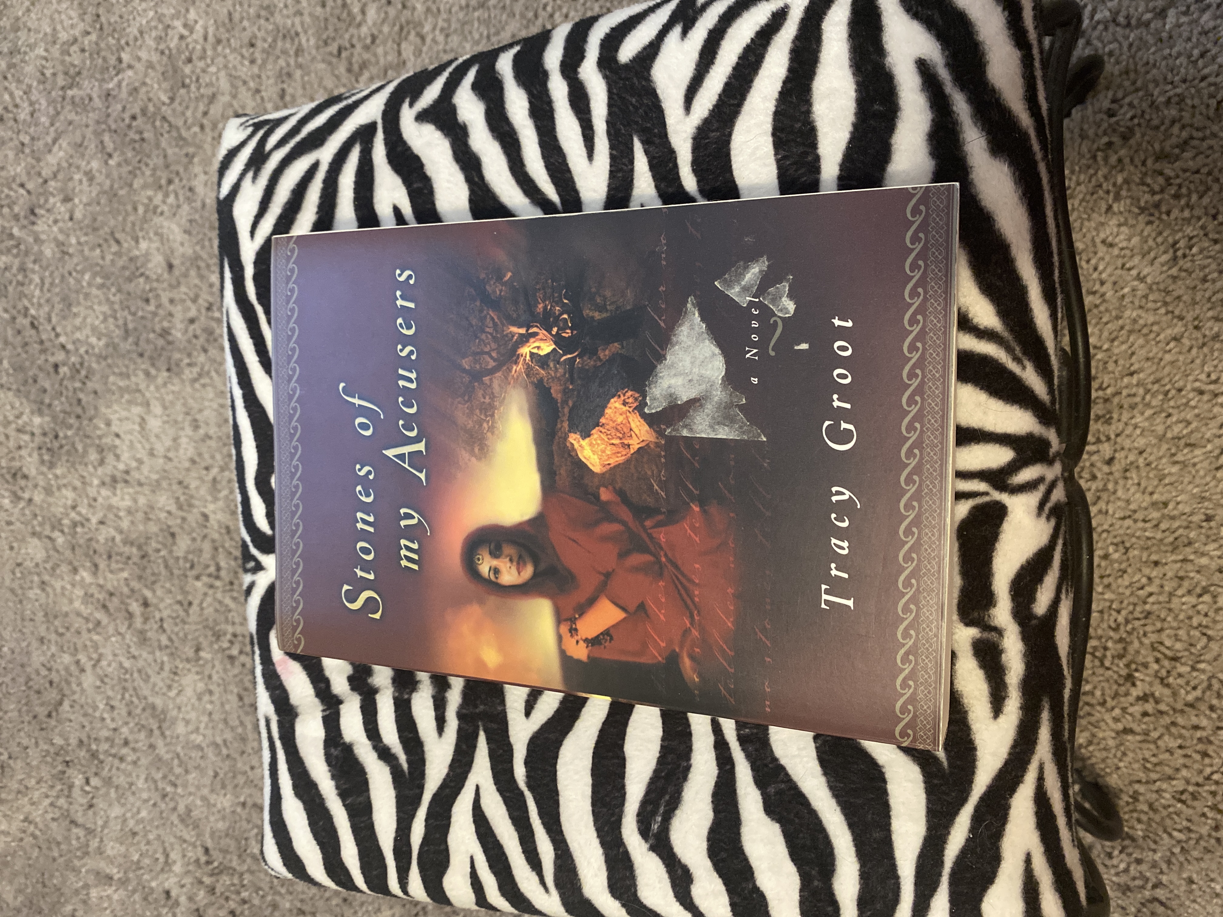 Stones of My Accusers