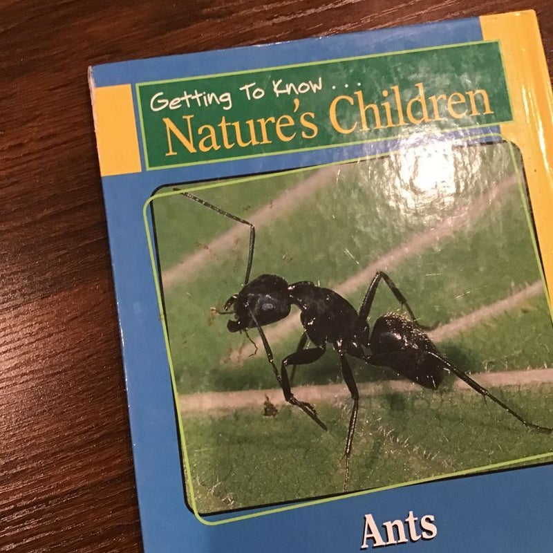 Scholastic: Getting To Know Nature’s Children 5 book bundle - Lynx, Seals, River Otters, Chimpanzees, Gorillas