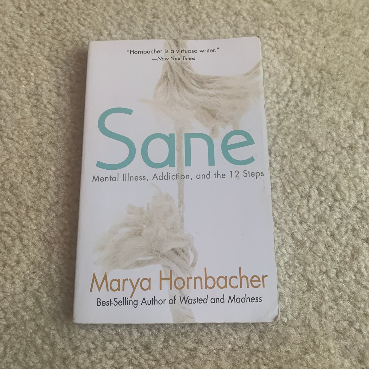 Sane by Marya Hornbacher