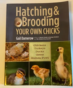 Hatching and Brooding Your Own Chicks