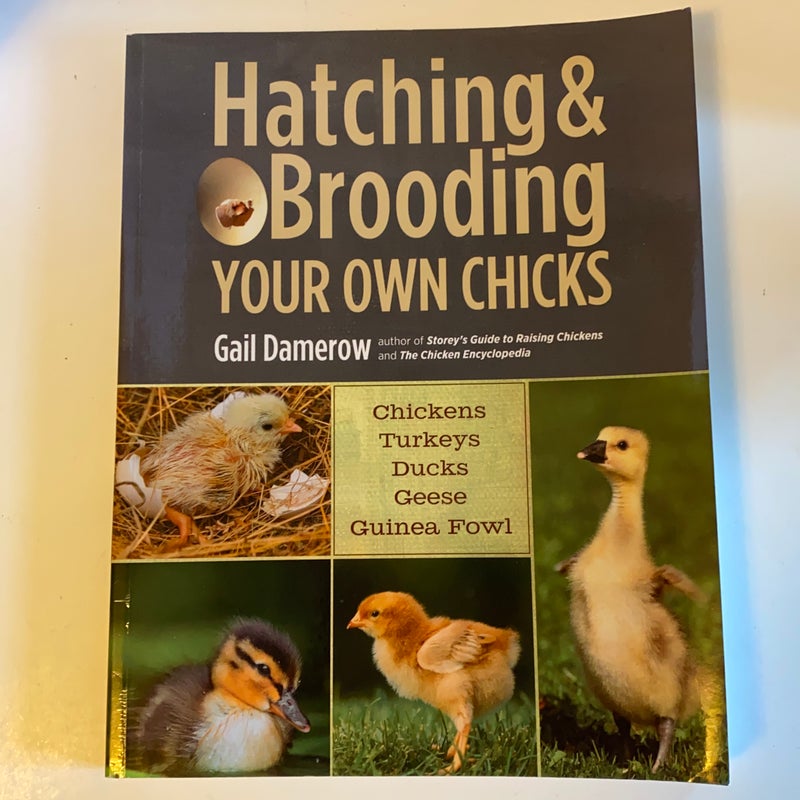 Hatching and Brooding Your Own Chicks