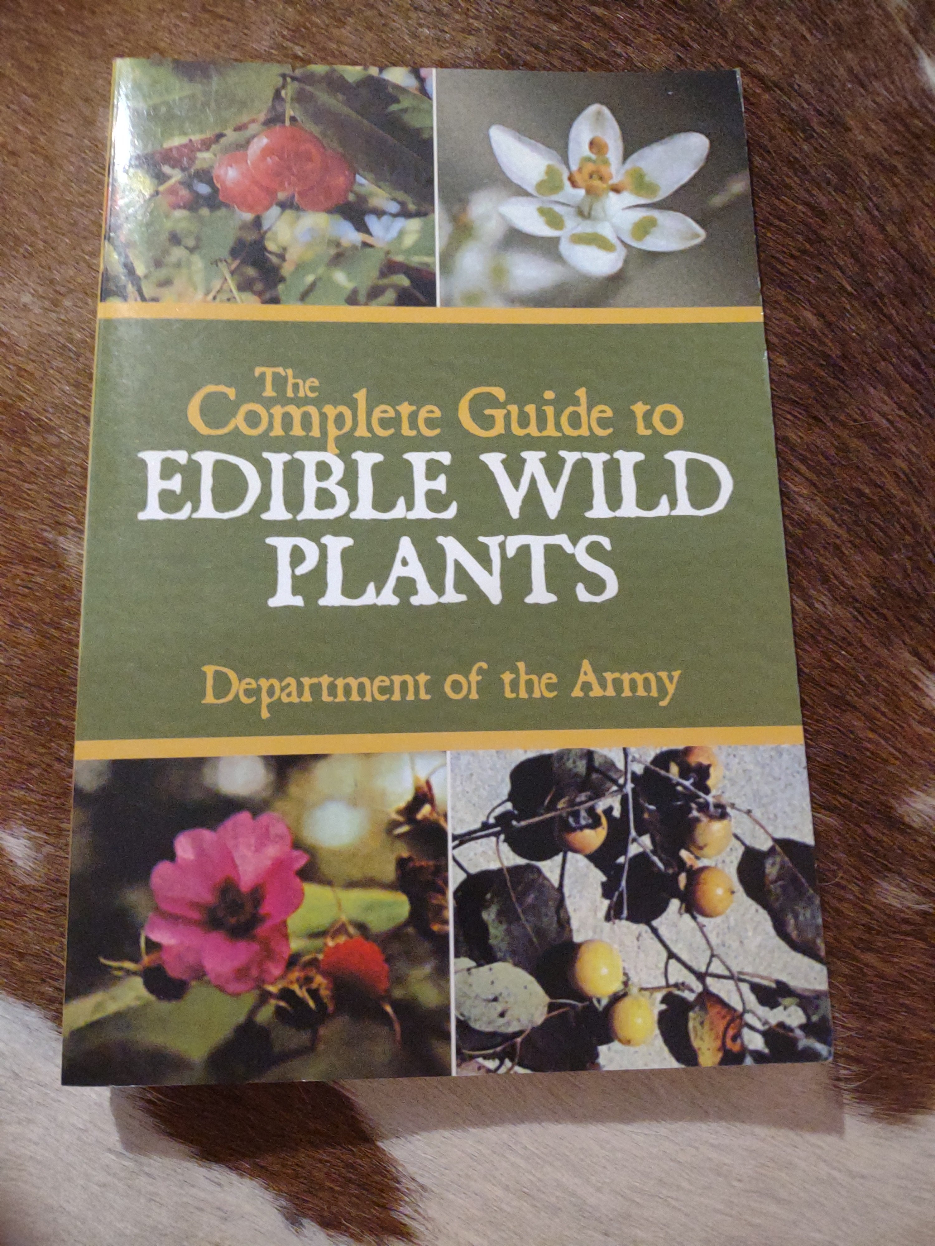 The Complete Guide to Edible Wild Plants