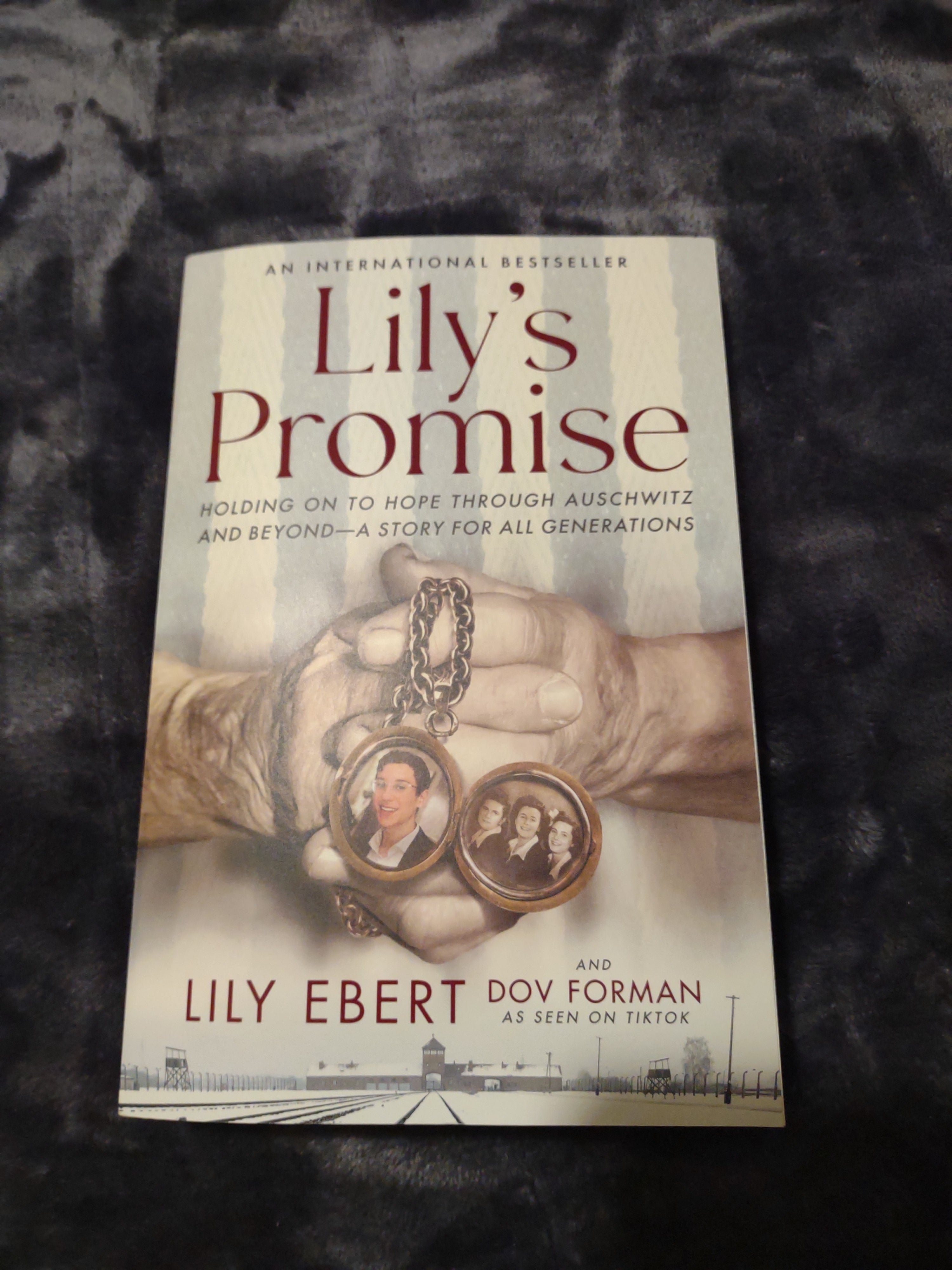 Lily's Promise