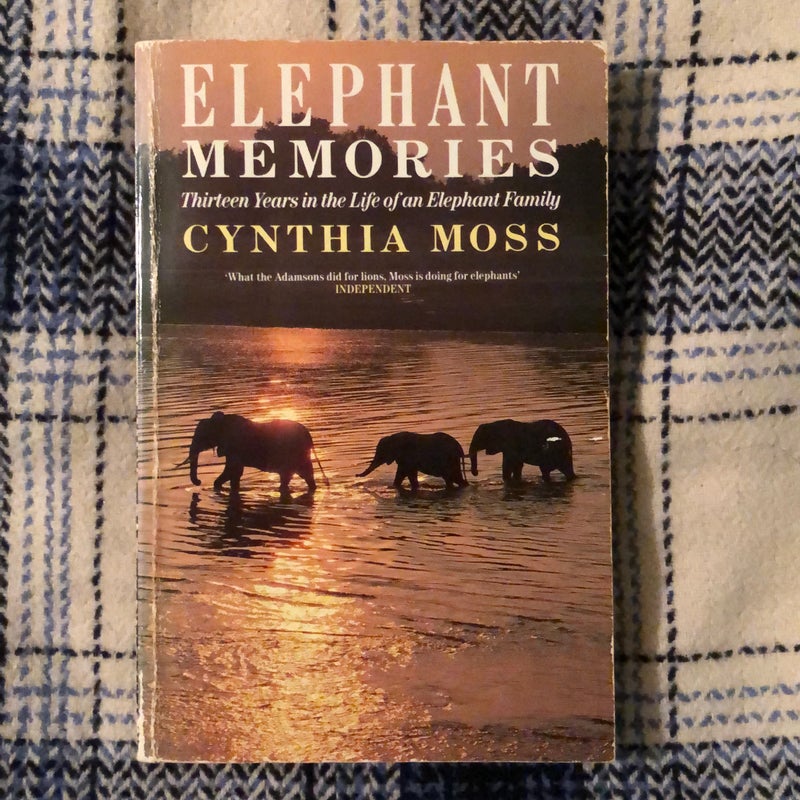 Elephant memories