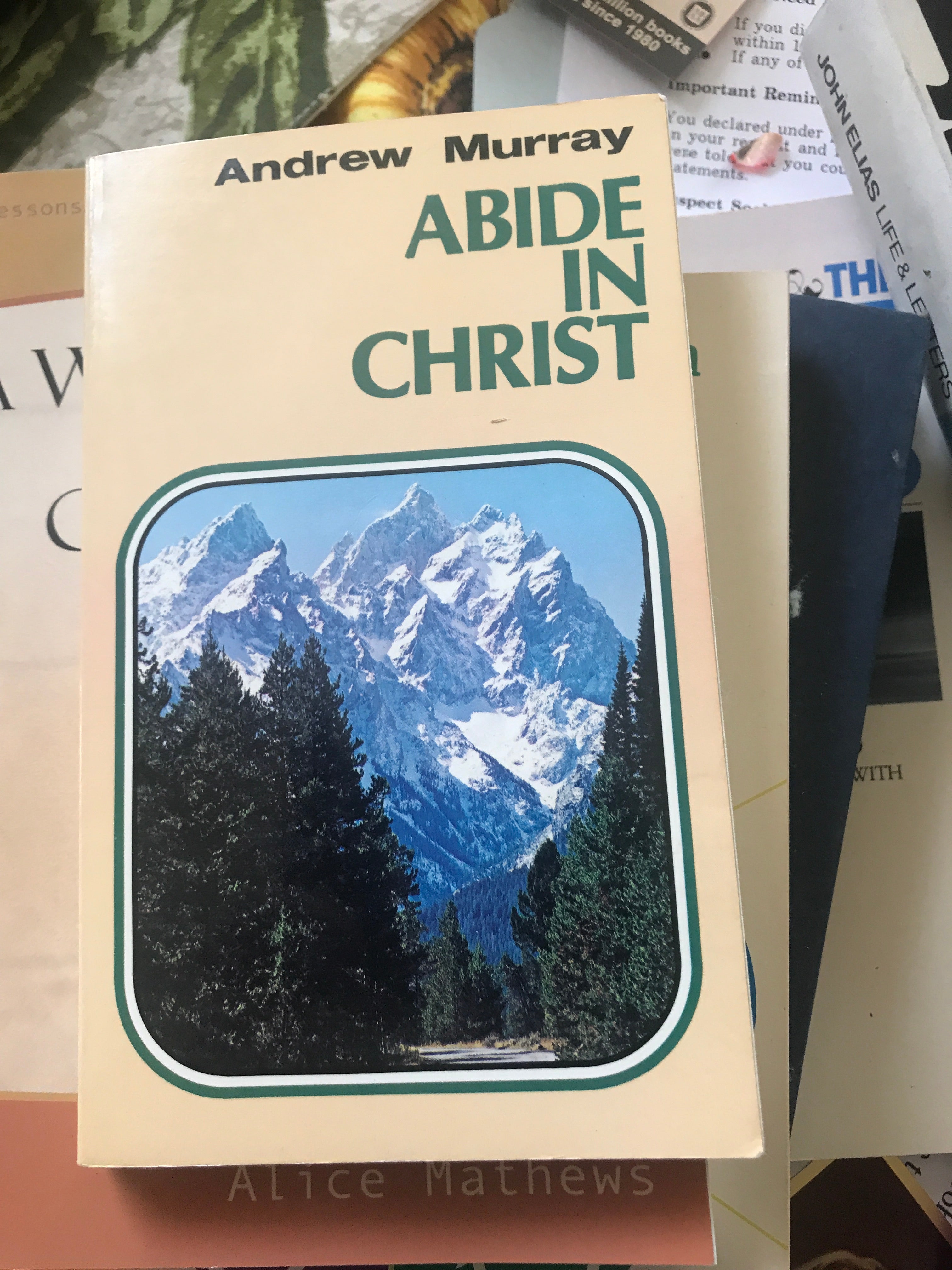 Abide in Christ