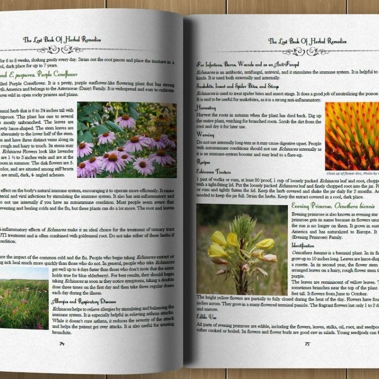 The Lost Book of Herbal Remedies by Dr. Nicole Apelian
& Claude davis