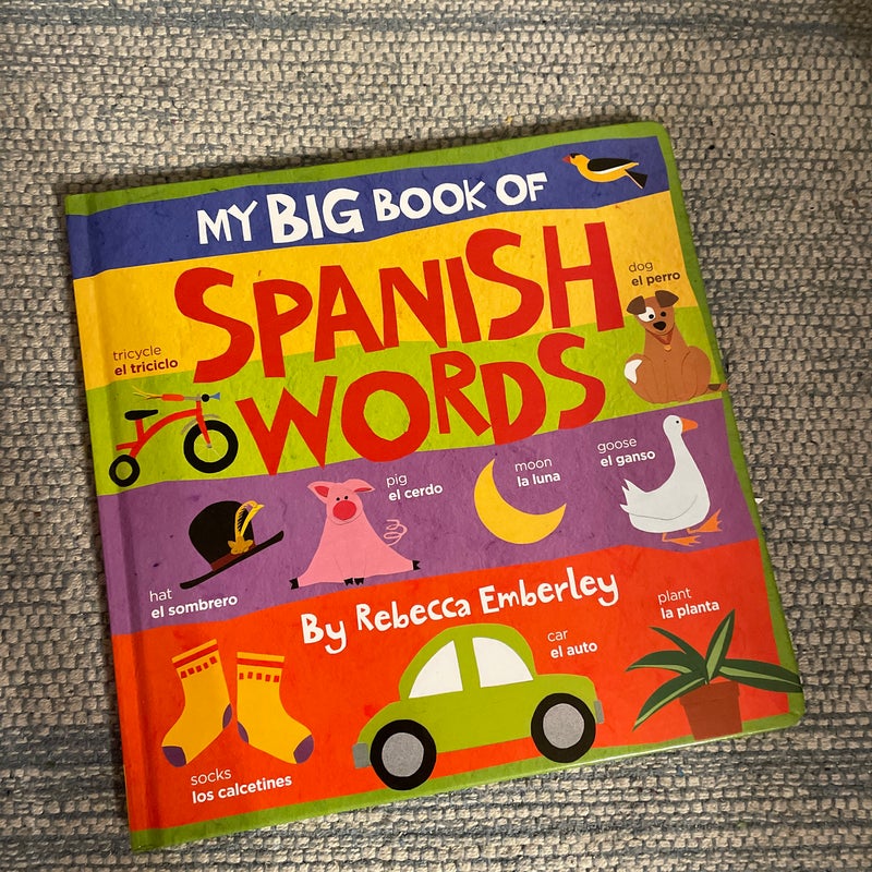 My Big Book of Spanish Words