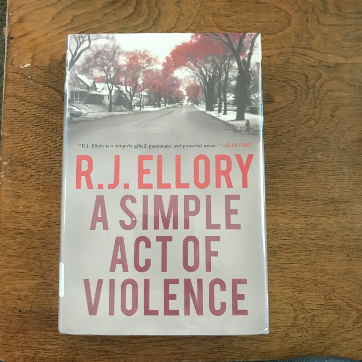 A Simple Act of Violence by R. J. Ellory, Hardcover Pangobooks