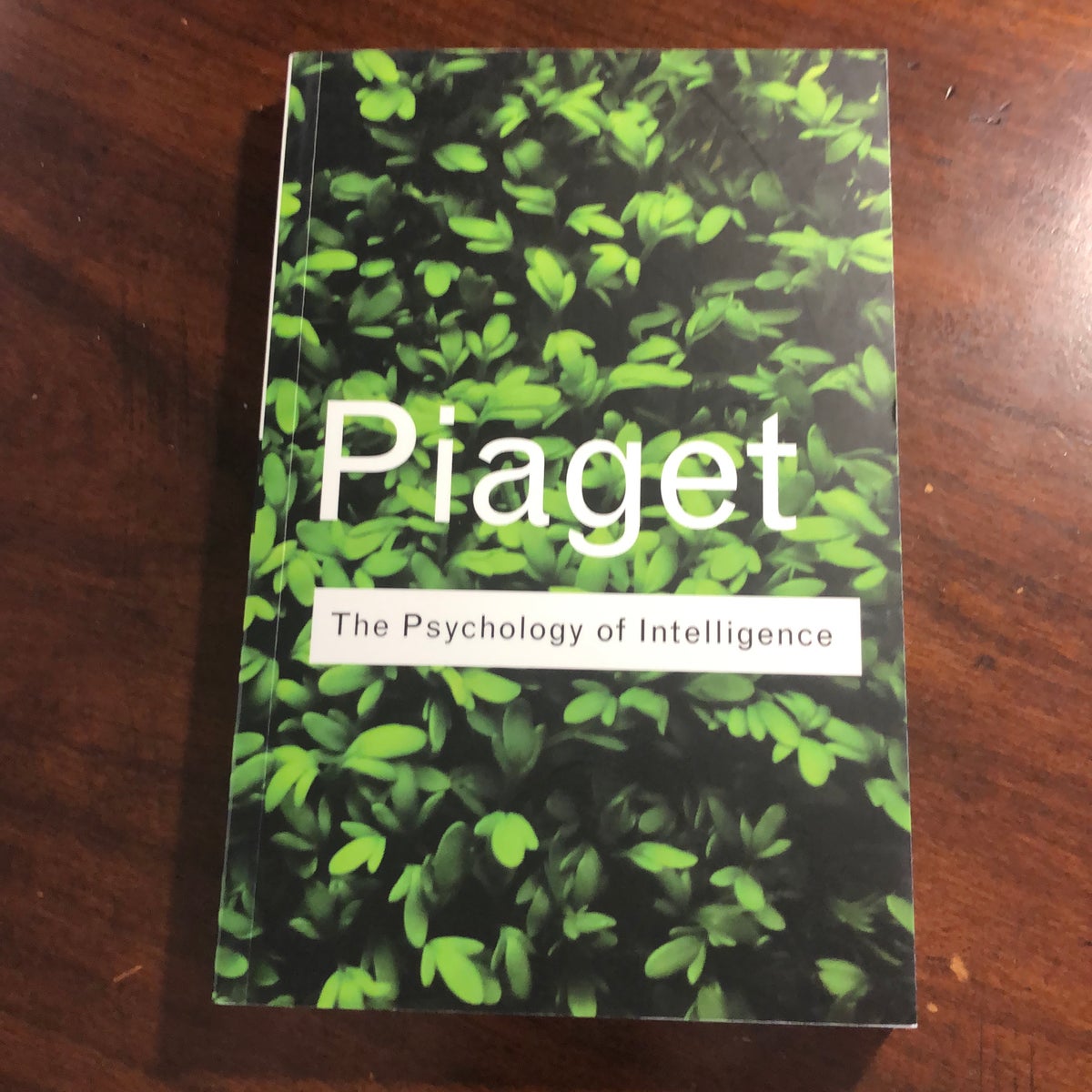 Piaget the discount psychology of intelligence