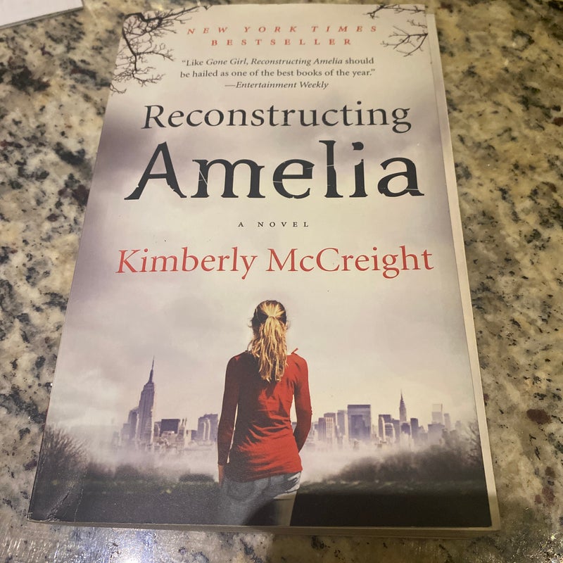 Reconstructing Amelia