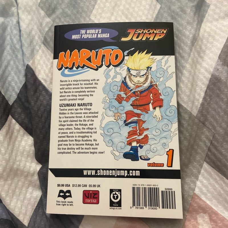 Naruto, Vol. 1