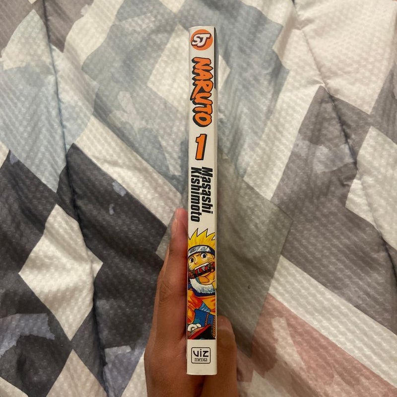Naruto, Vol. 1