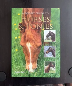 A Pocket Guide to Horses & Ponies 