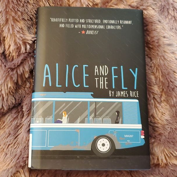 Alice and the Fly