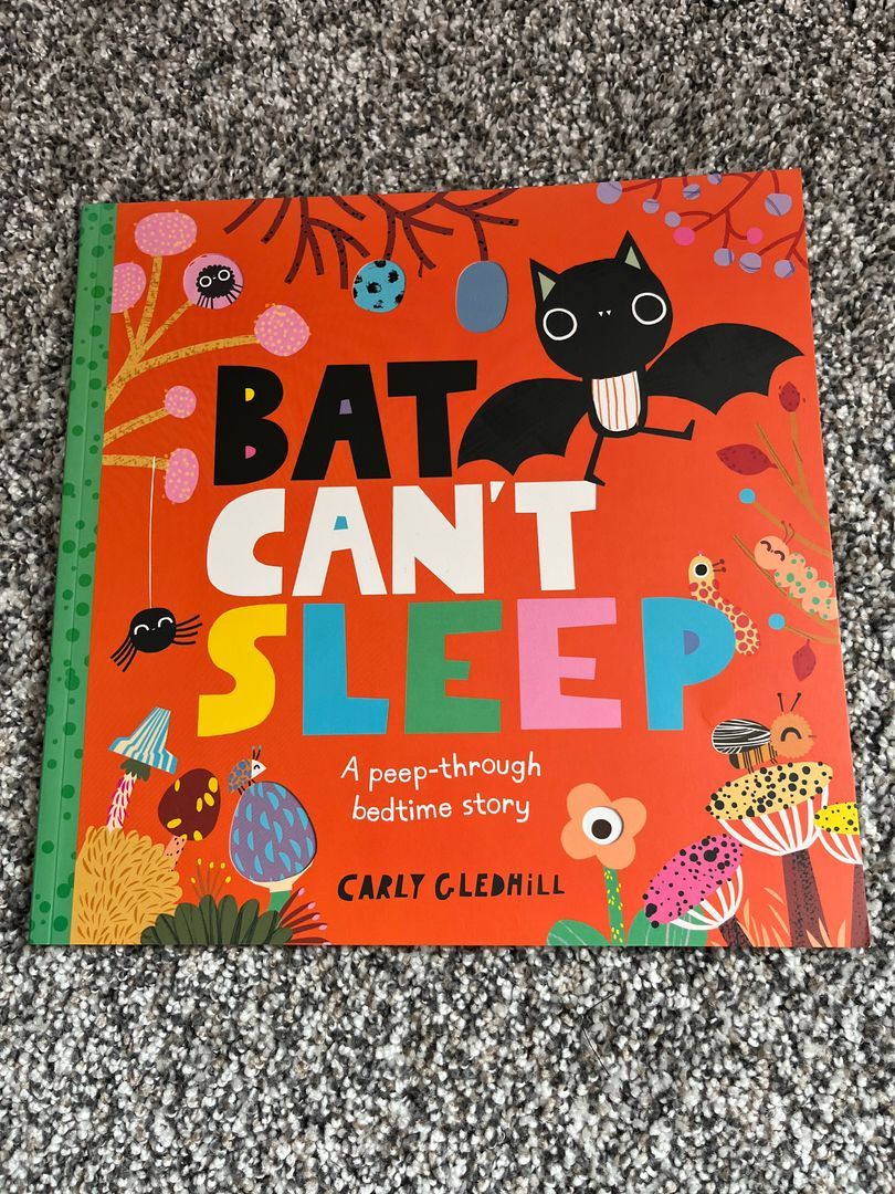 Bat Can't Sleep