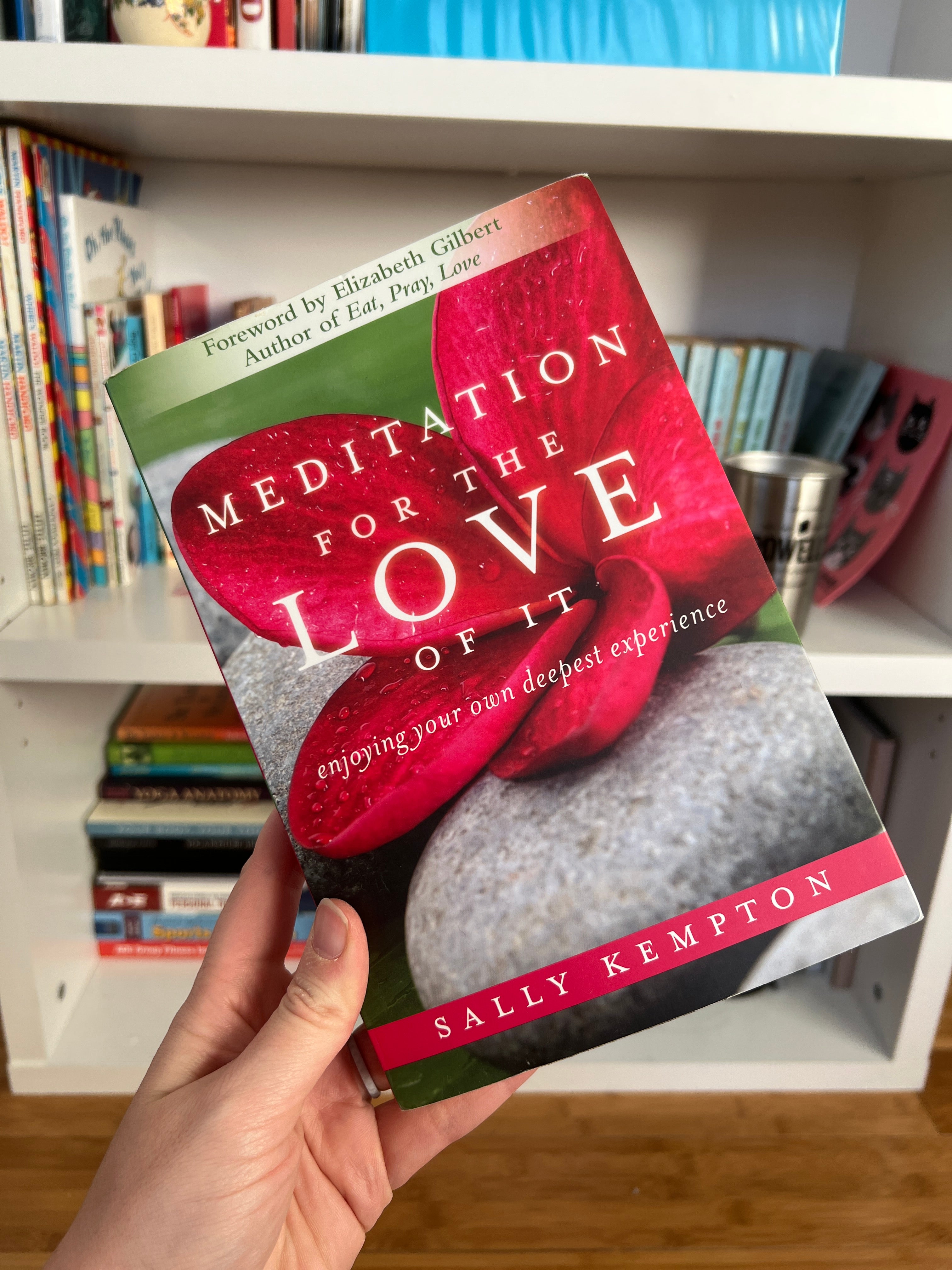 Meditation for the Love of It