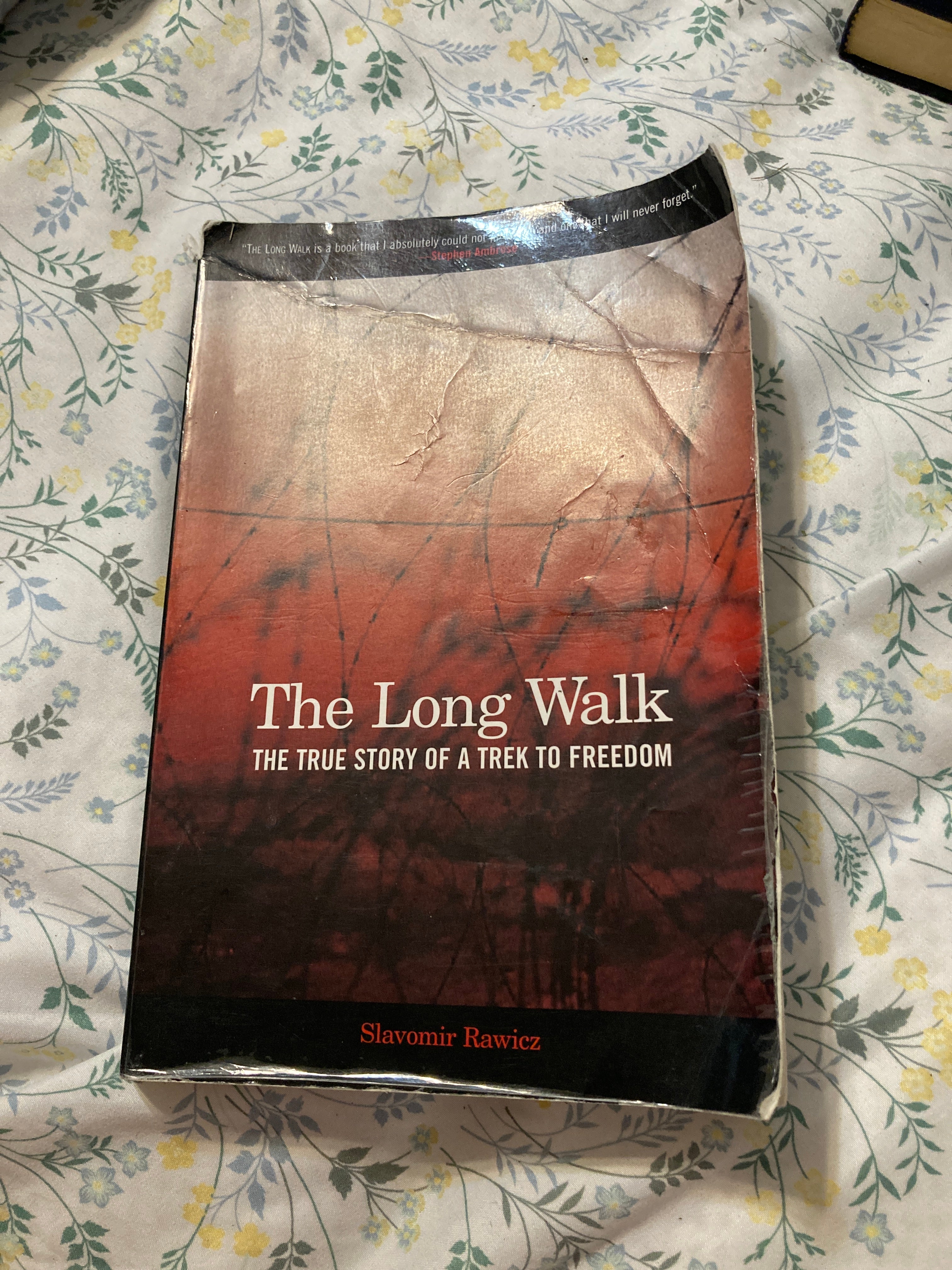 The Long Walk