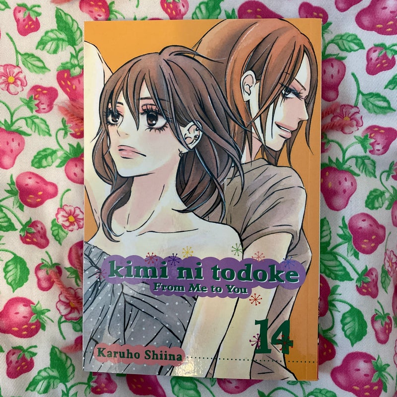 Kimi ni Todoke: from Me to You, Vol. 14
