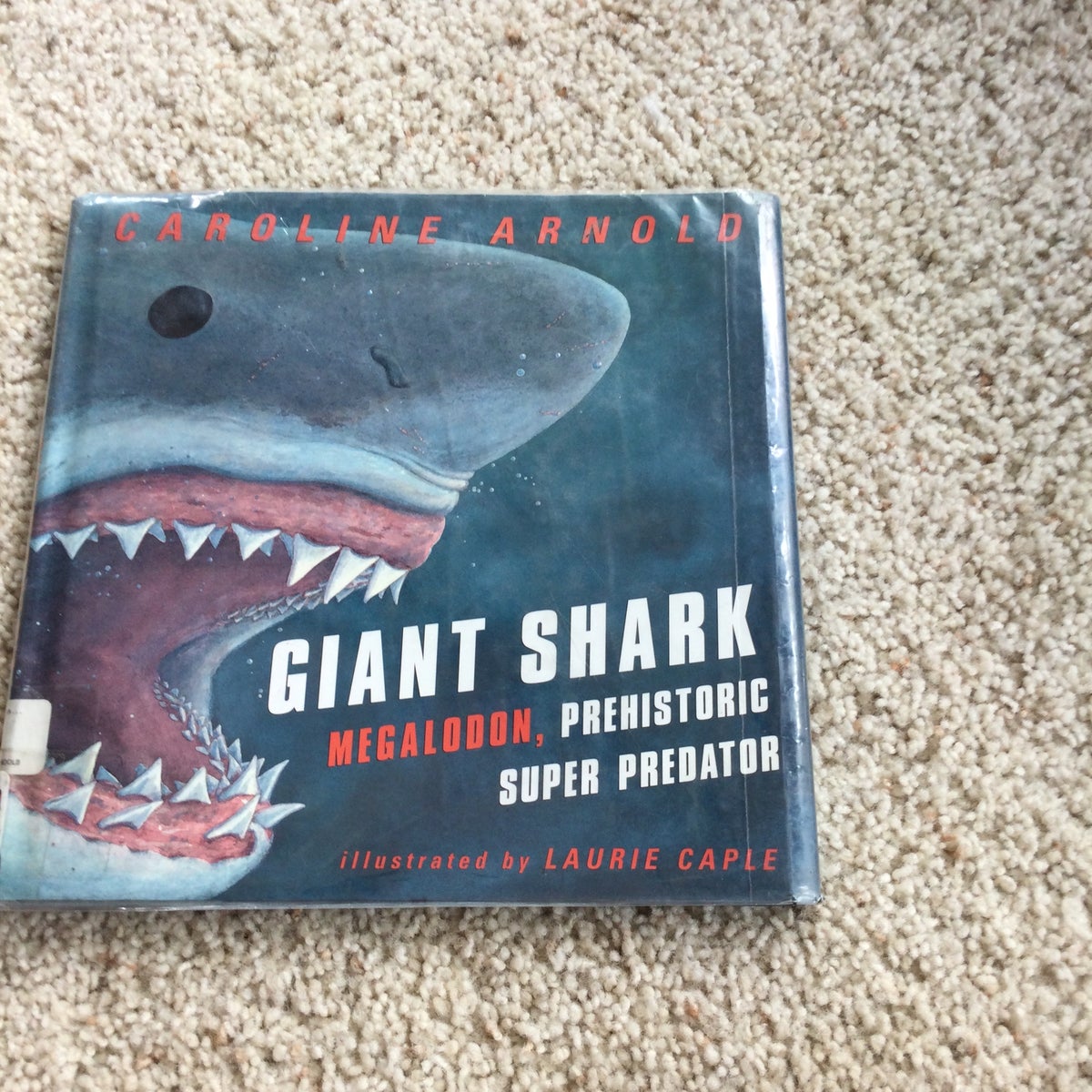 Giant Shark by Caroline Arnold, Hardcover