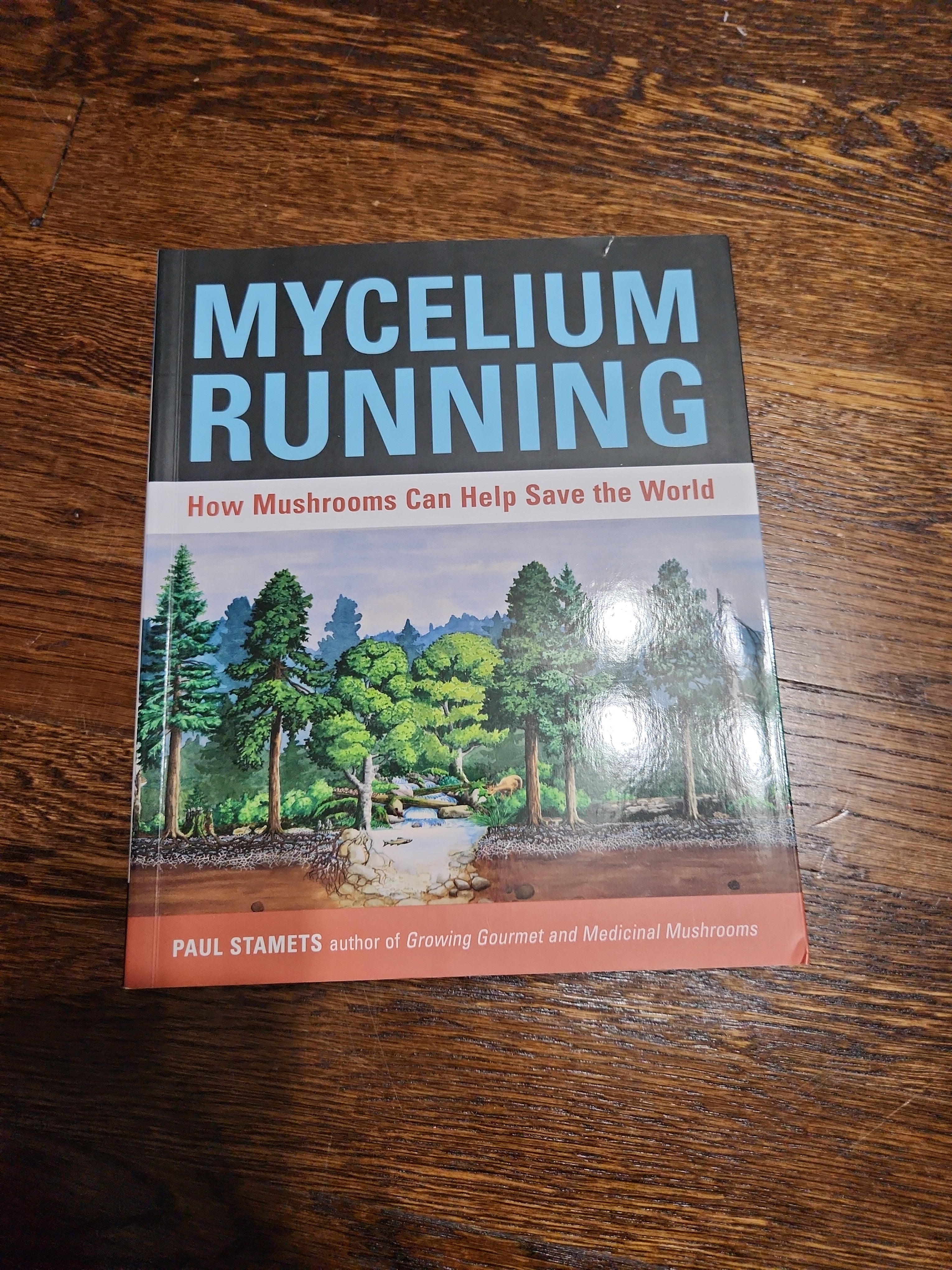 Mycelium Running