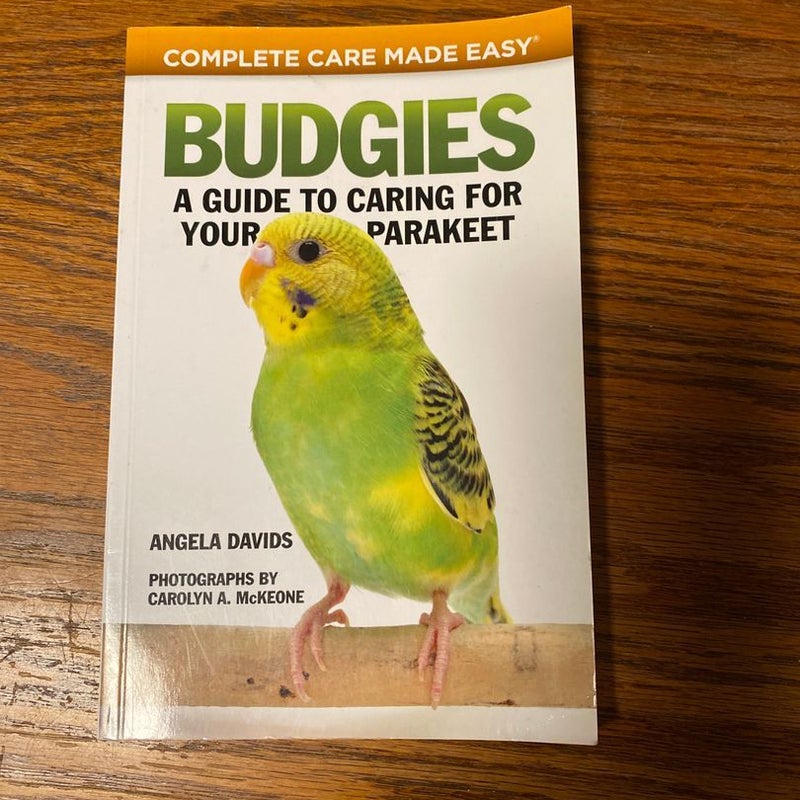 Budgies