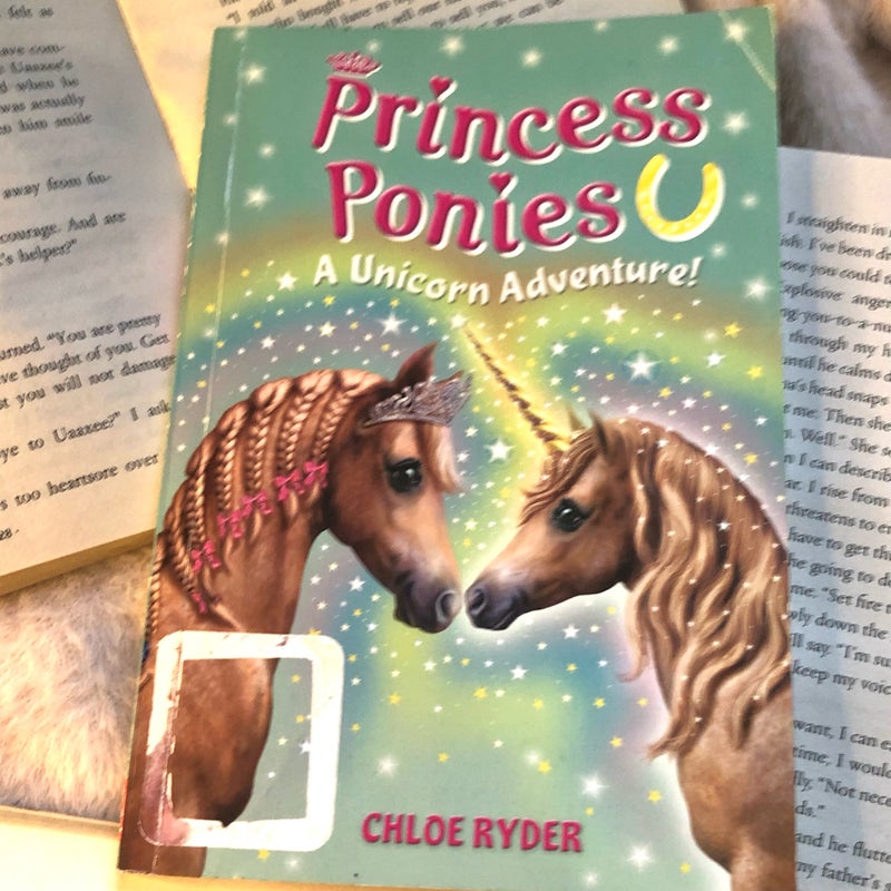 Princess ponies A Unicorn Adventure 