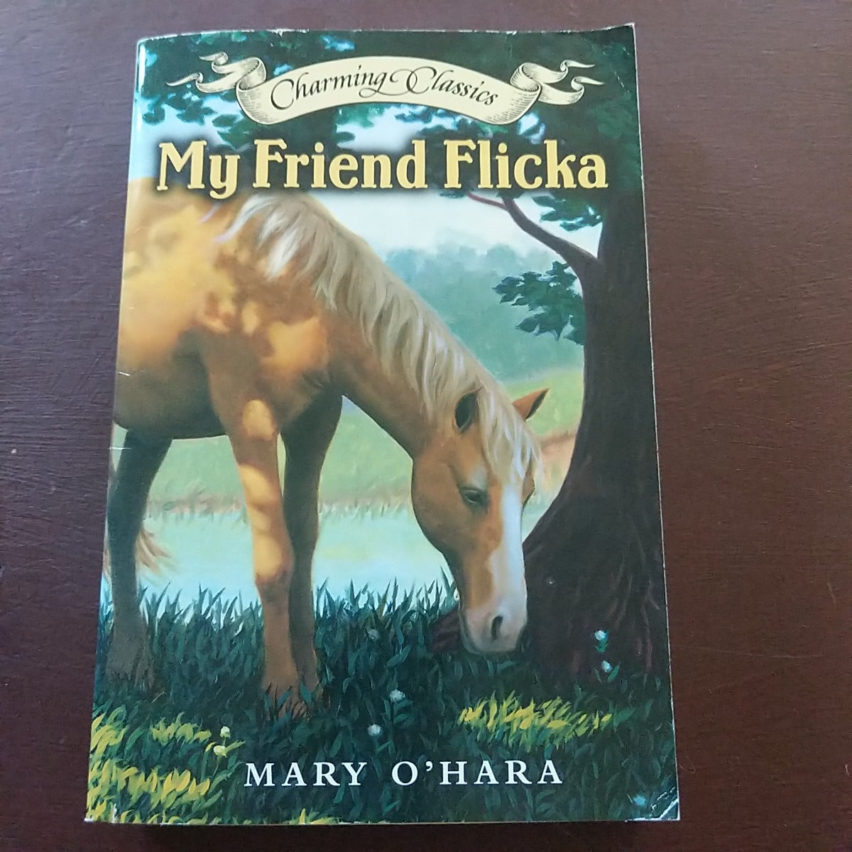 My Friend Flicka Book