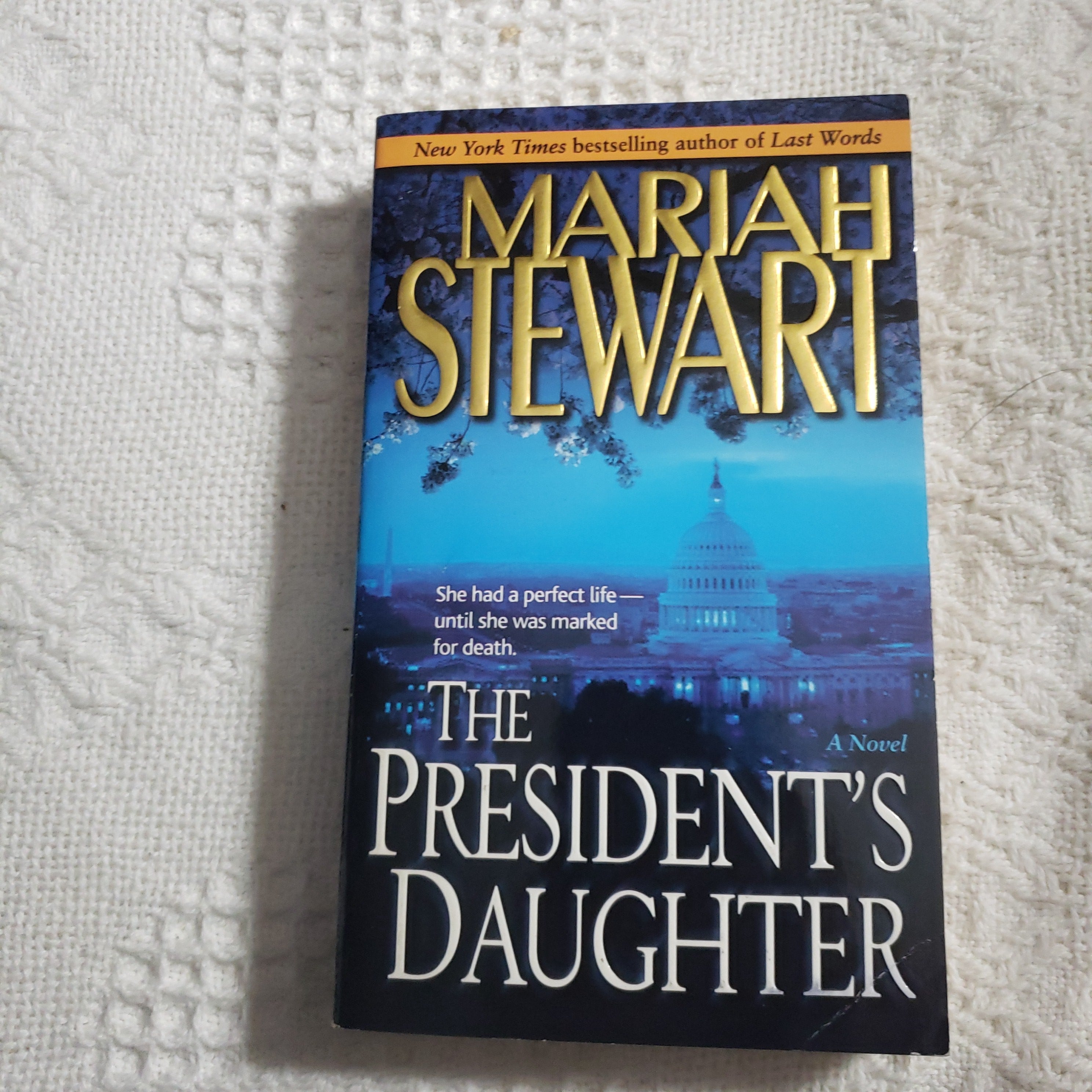 The President's Daughter