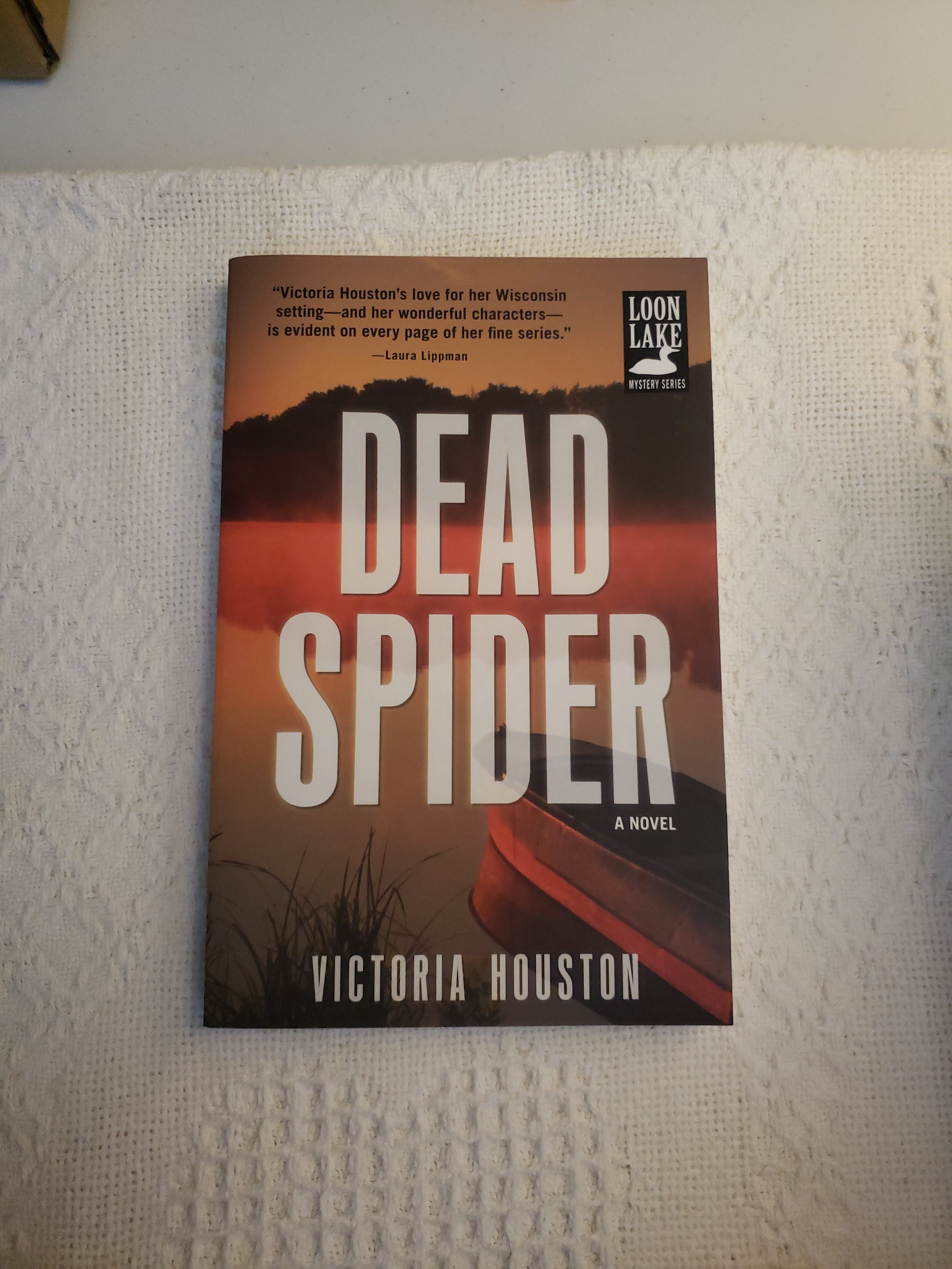 Dead Spider