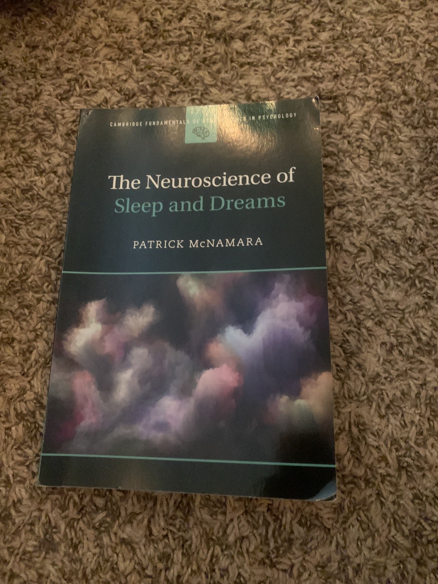 The Neuroscience of Sleep and Dreams
