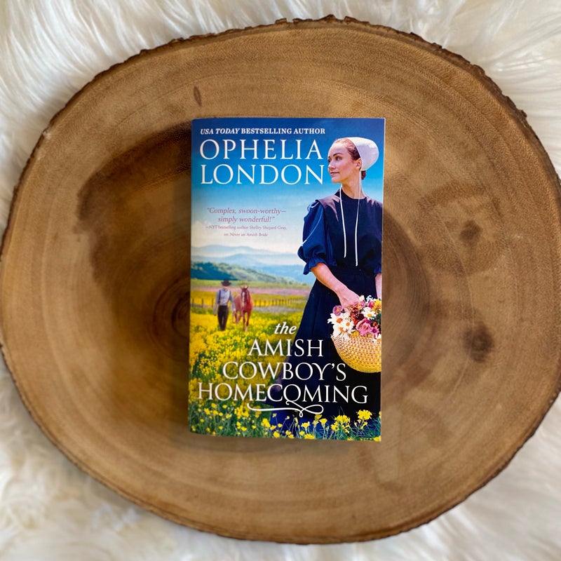 The Amish Cowboy's Homecoming