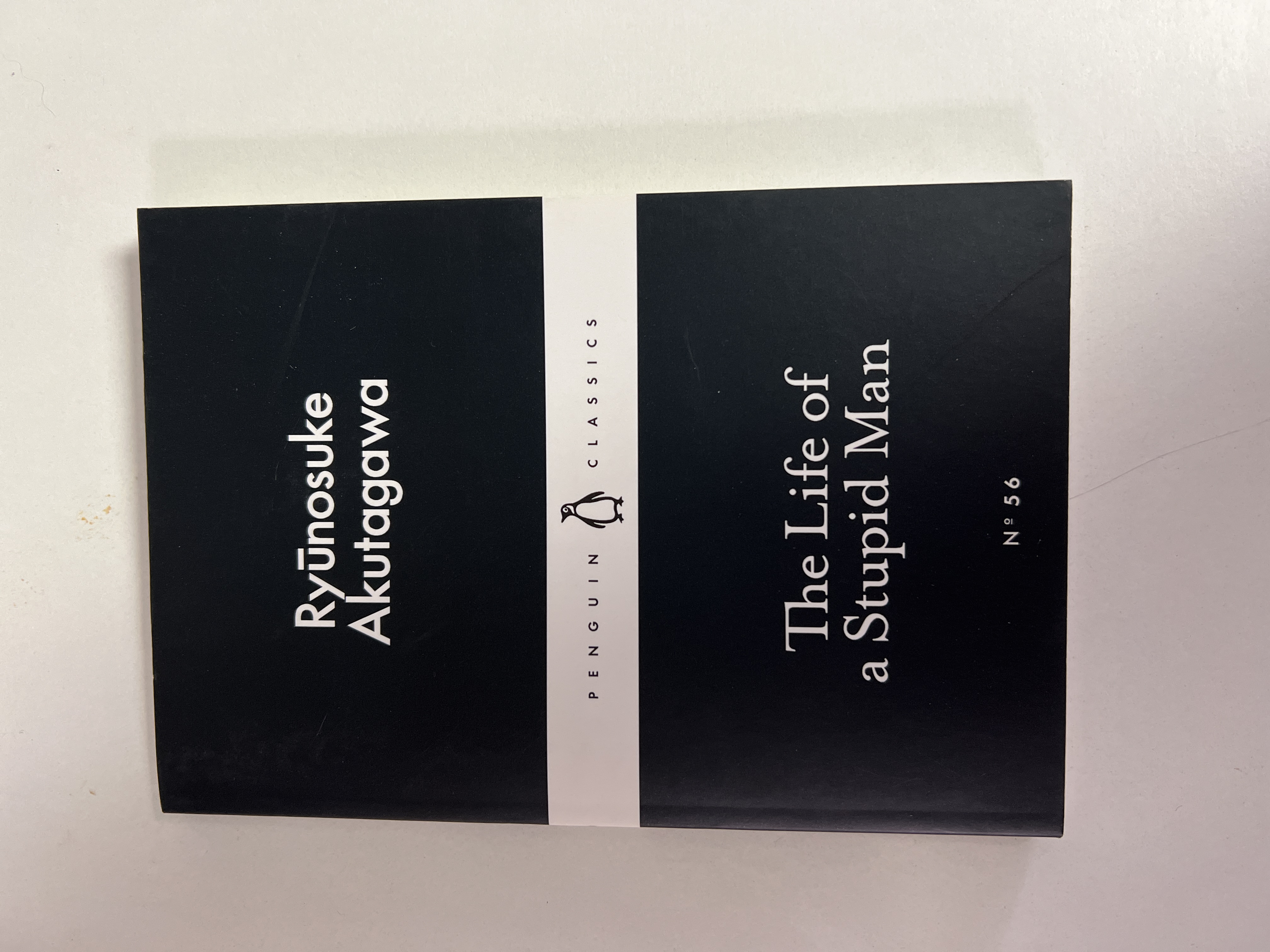 The Life of a Stupid Man