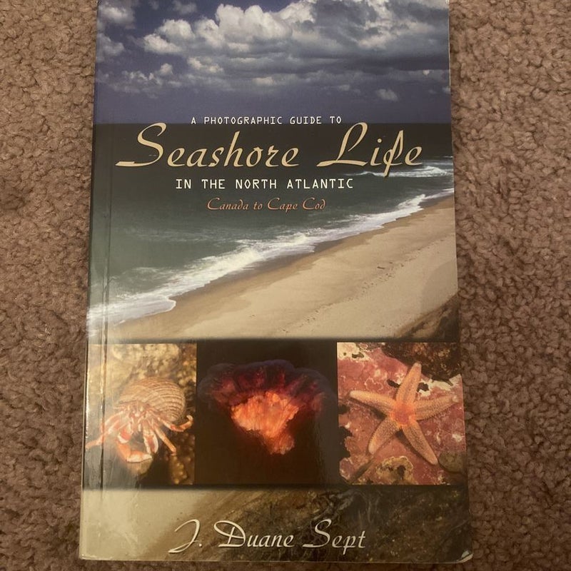 A Photographic Guide to Seashore Life in the North Atlantic