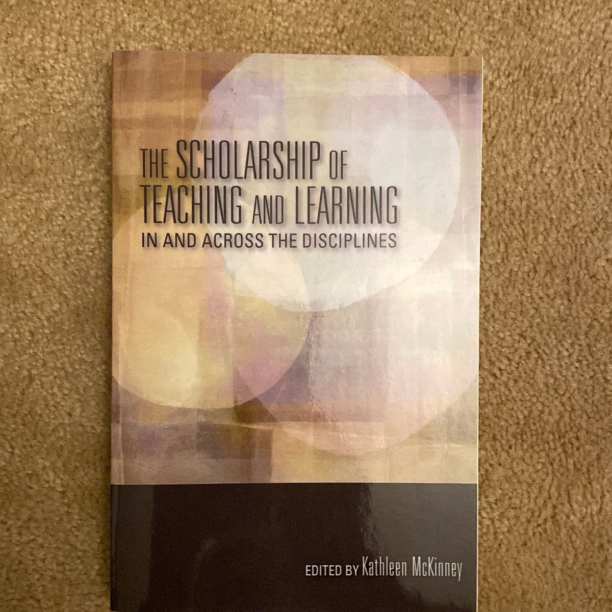 The Scholarship of Teaching and Learning in and Across the Disciplines ...