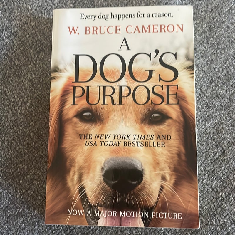 A dog's purpose