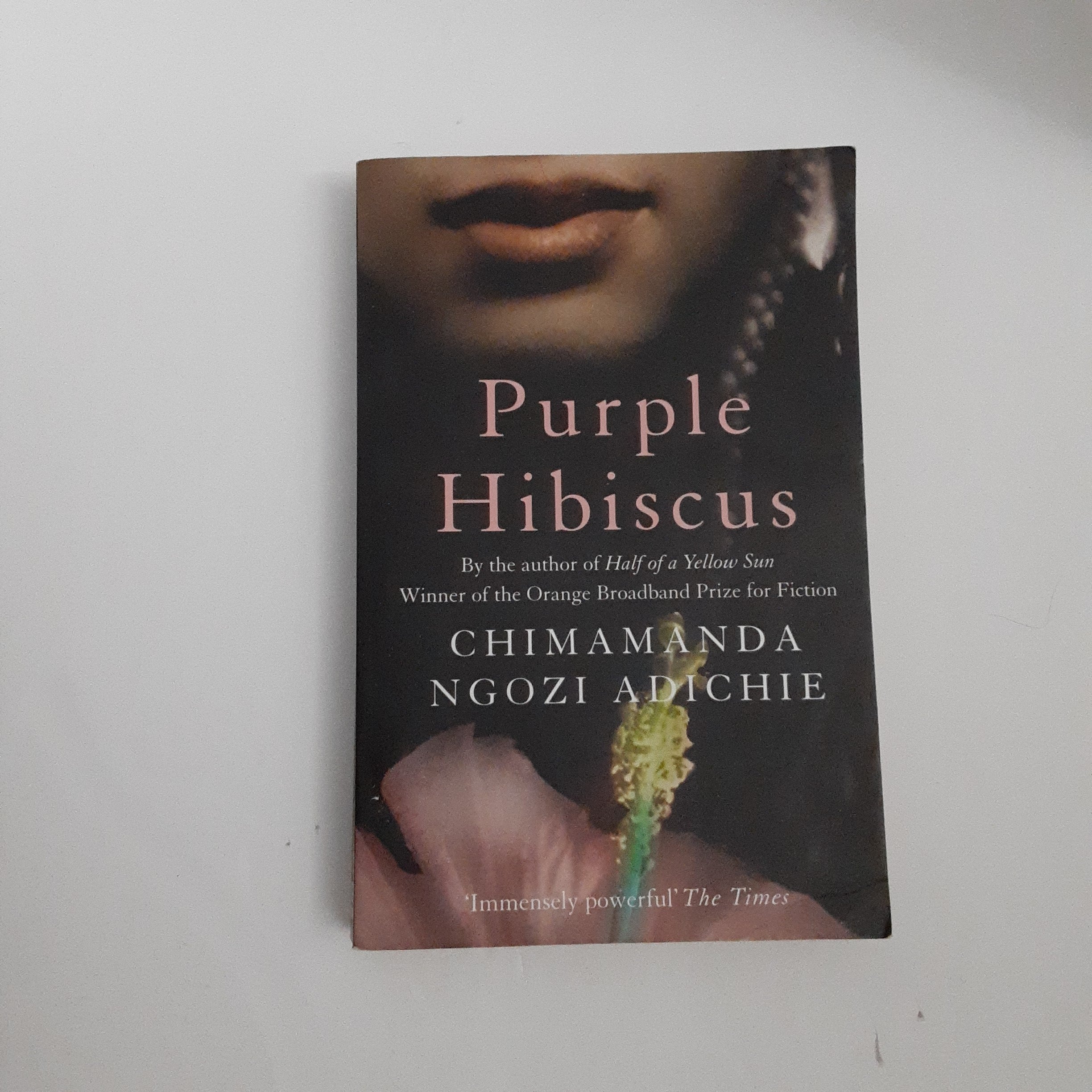 Purple Hibiscus