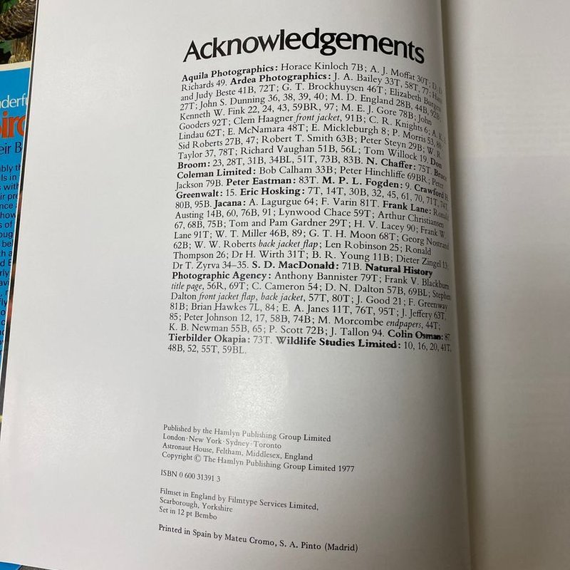 The Wonderful World of Birds and Their Behaviour