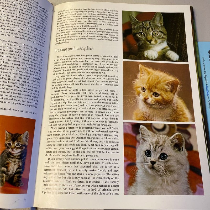 All Colour Book of Kittens