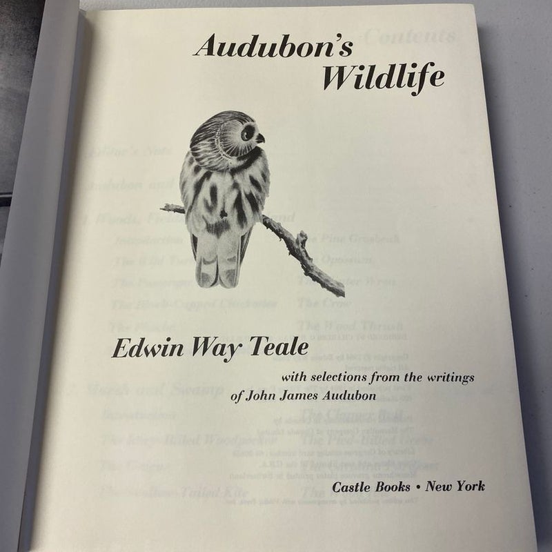 Audubon’s Wildlife 