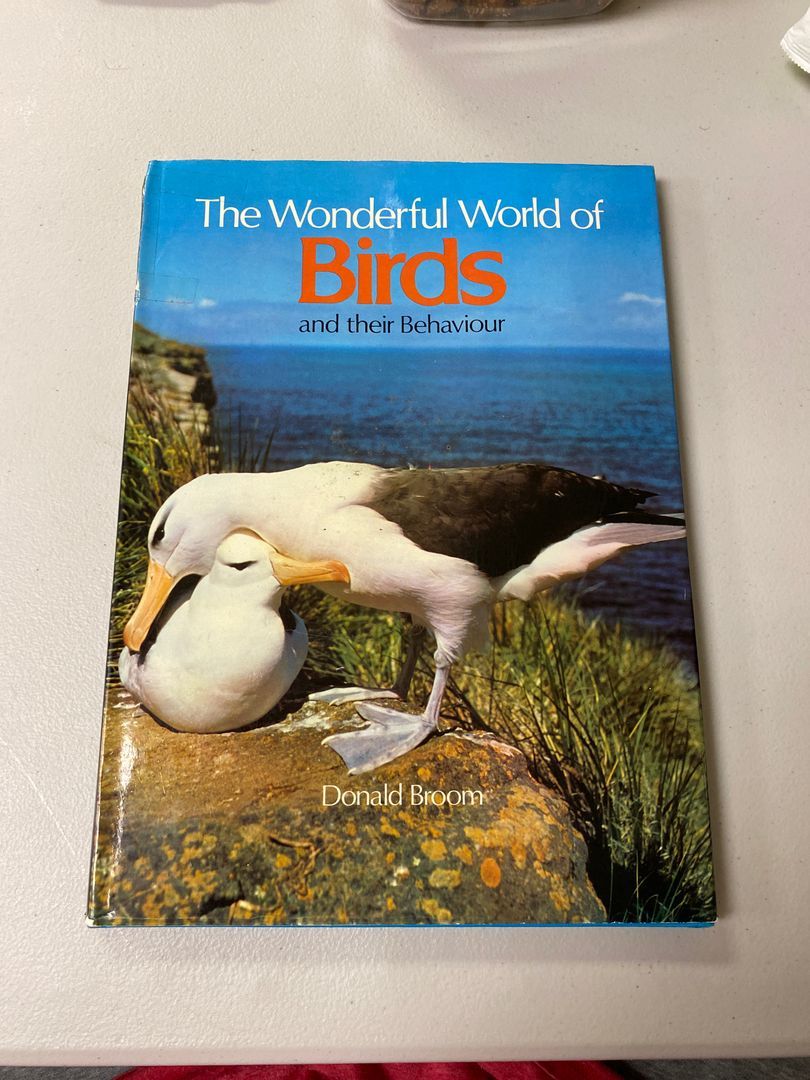 The Wonderful World of Birds and Their Behaviour