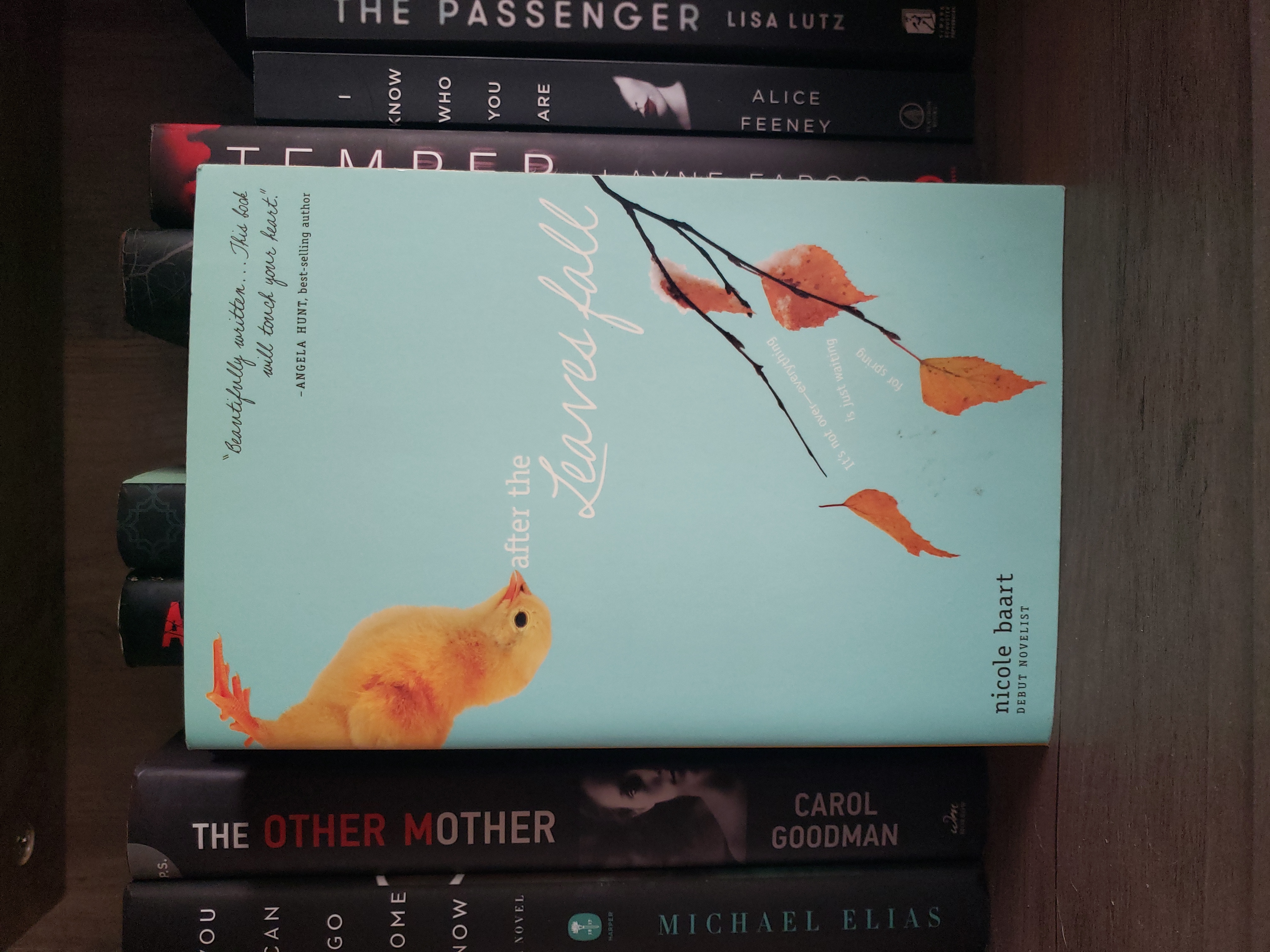 After the Leaves Fall