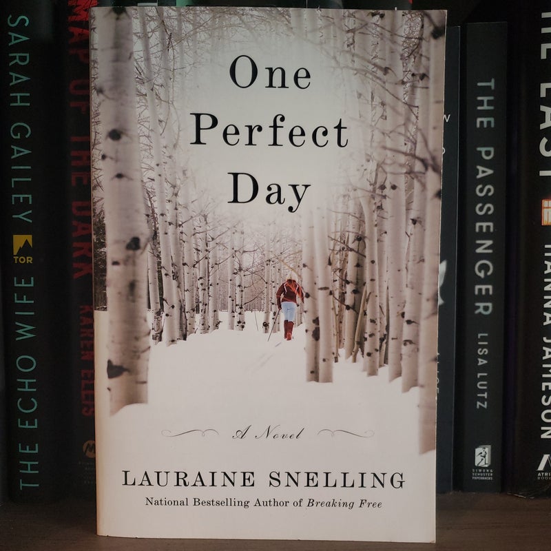 One Perfect Day