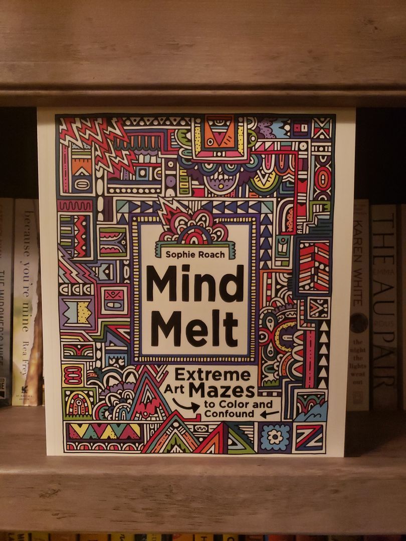 Mind Melt: Extreme Art Mazes to Color and Confound