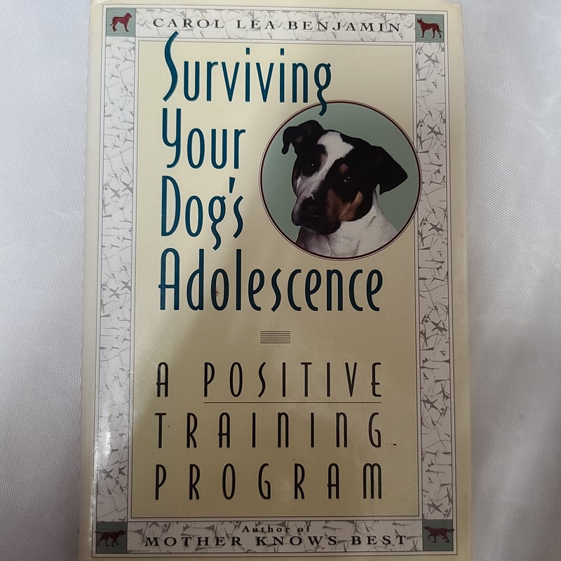 Surviving Your Dog's Adolescence