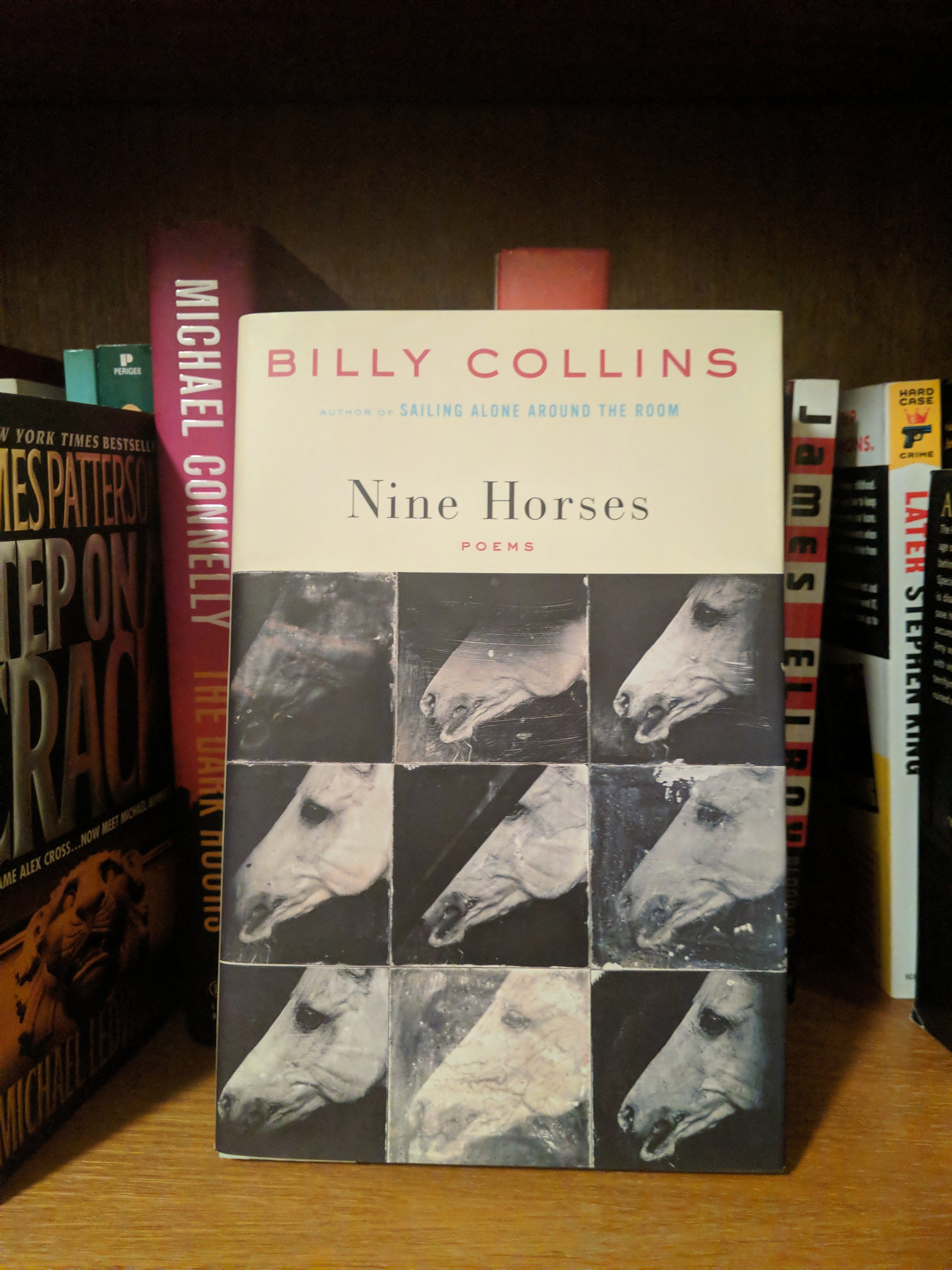 Nine Horses