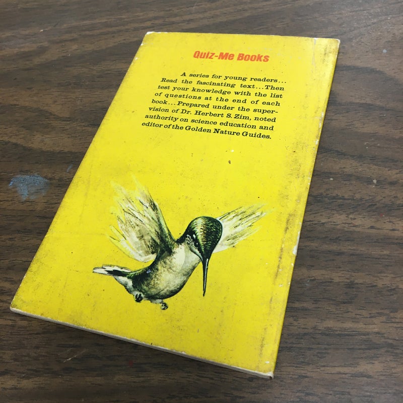 Birds, a golden book