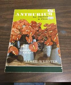 Anthurium 